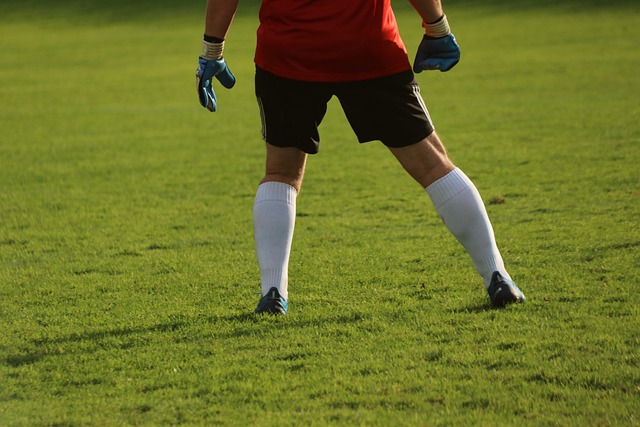 Dijk